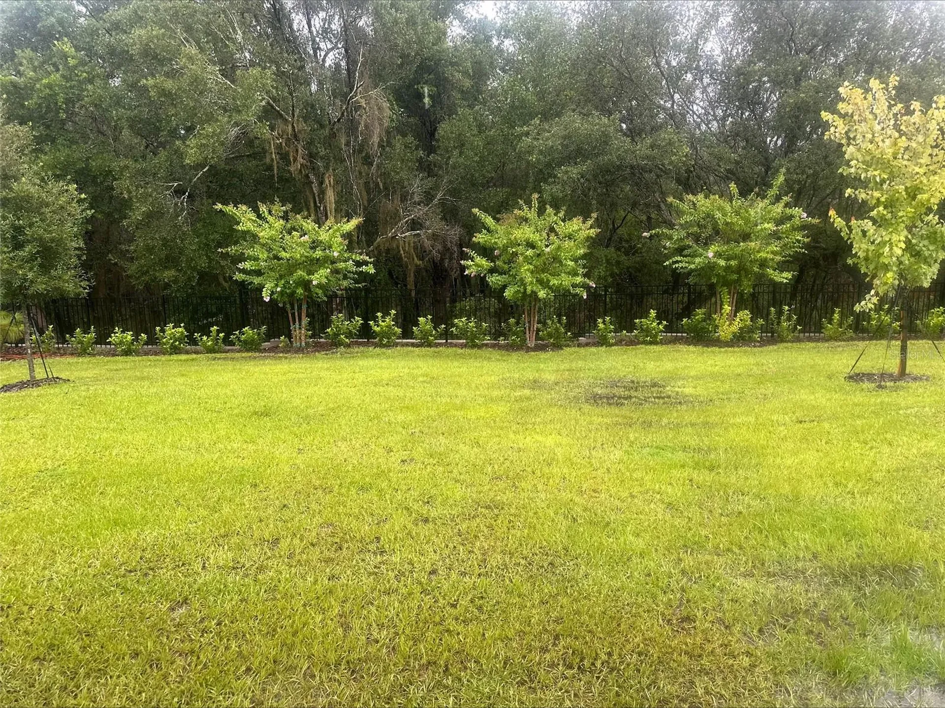 871 Shumard Way Lady Lake FL 32159