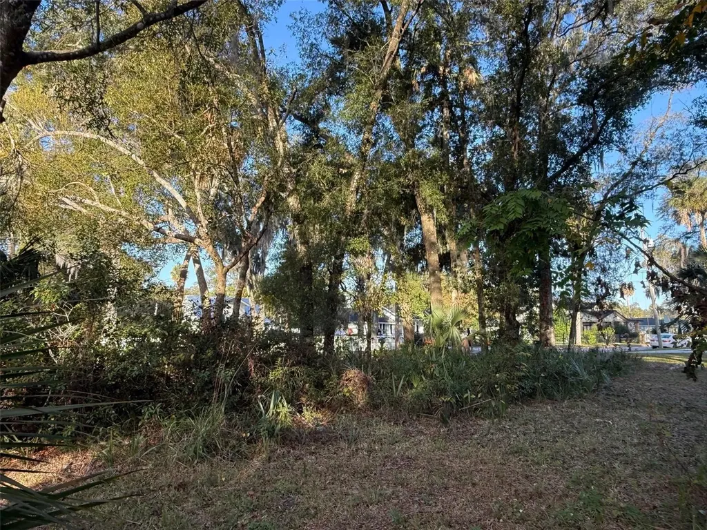 300 N Oak Avenue Orange City FL 32763
