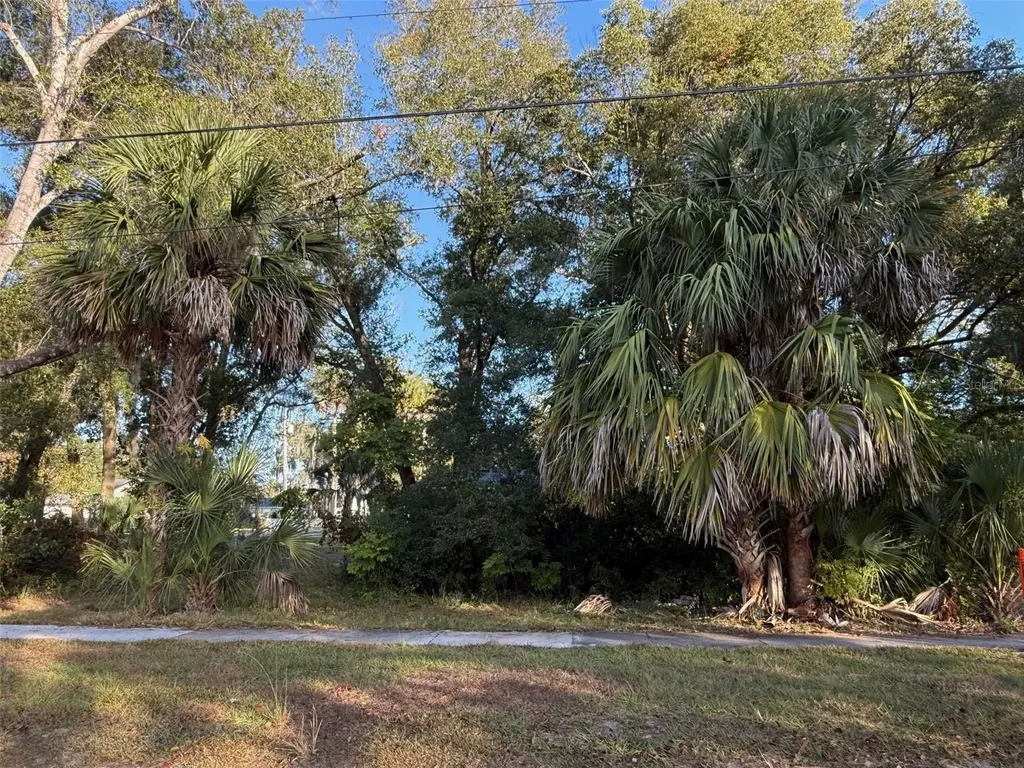 300 N Oak Avenue Orange City FL 32763