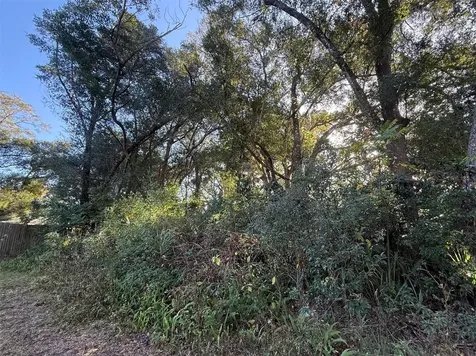 300 N Oak Avenue Orange City FL 32763
