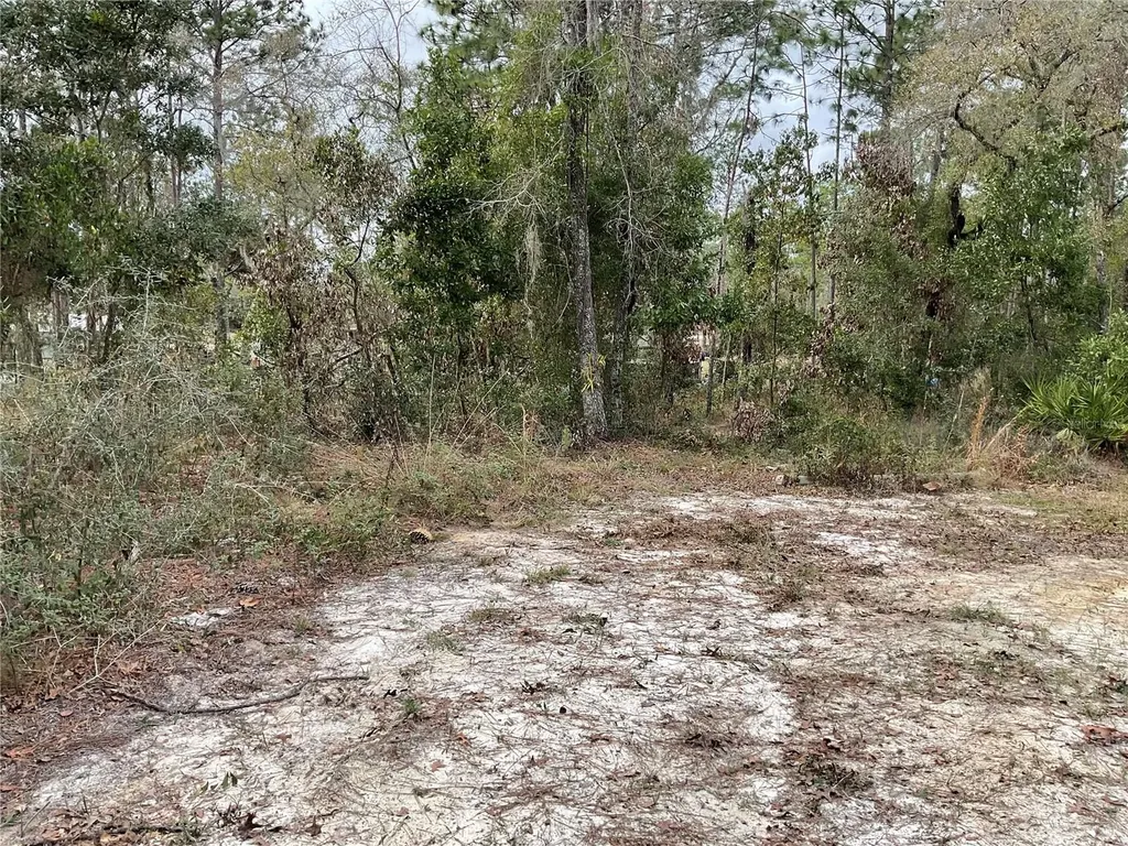 90 NE 132nd Terrace Williston FL 32696