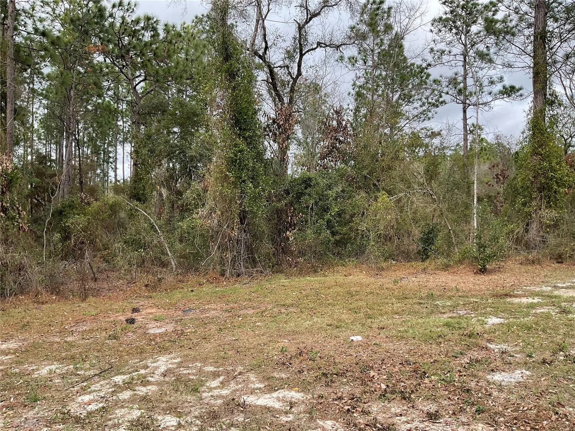 90 NE 132nd Terrace Williston FL 32696