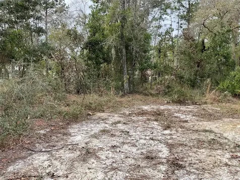 90 NE 132nd Terrace Williston FL 32696