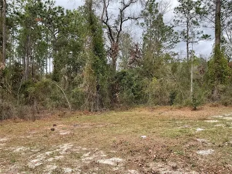 90 NE 132nd Terrace Williston FL 32696