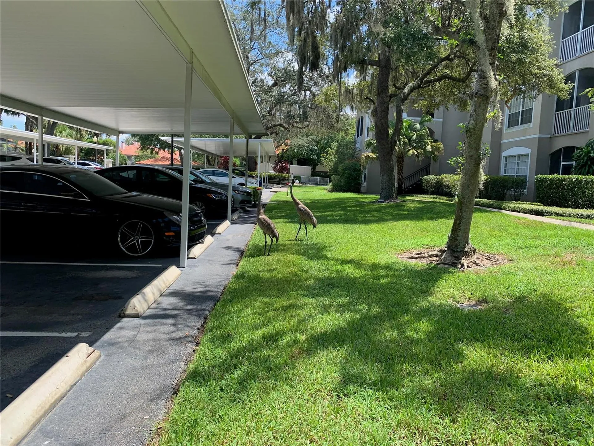 1212 S Hiawassee Road Orlando FL 32835