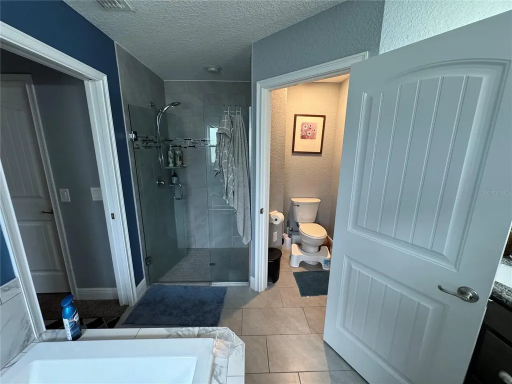 16361 SE 80th Terrace Summerfield FL 34491