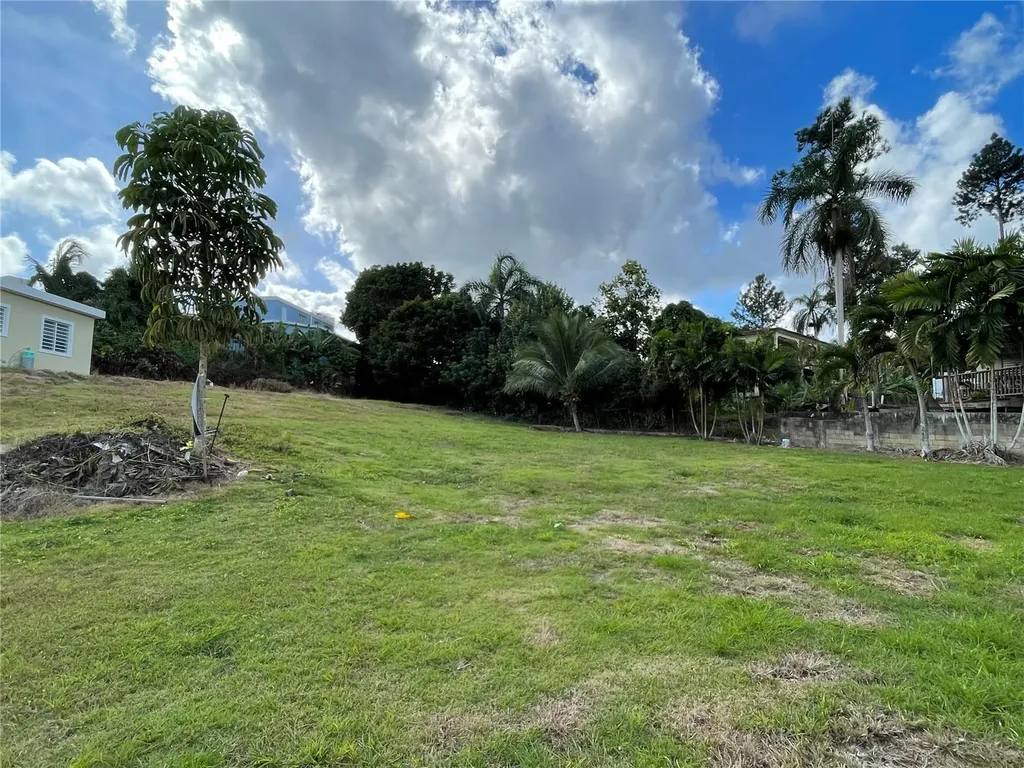 Canaboncito Strd 172 Km7.5 Caguas PR 00725