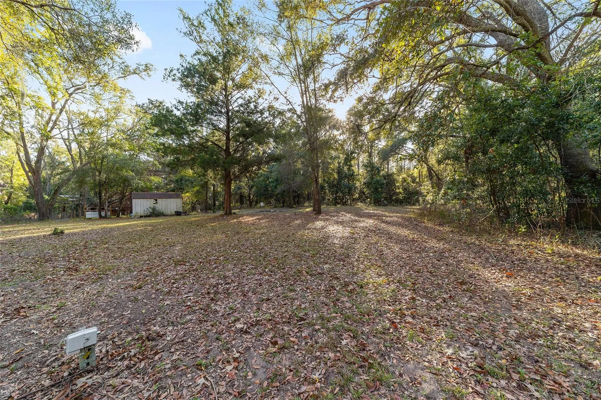 11922 NW 197th Terrace Alachua FL 32615