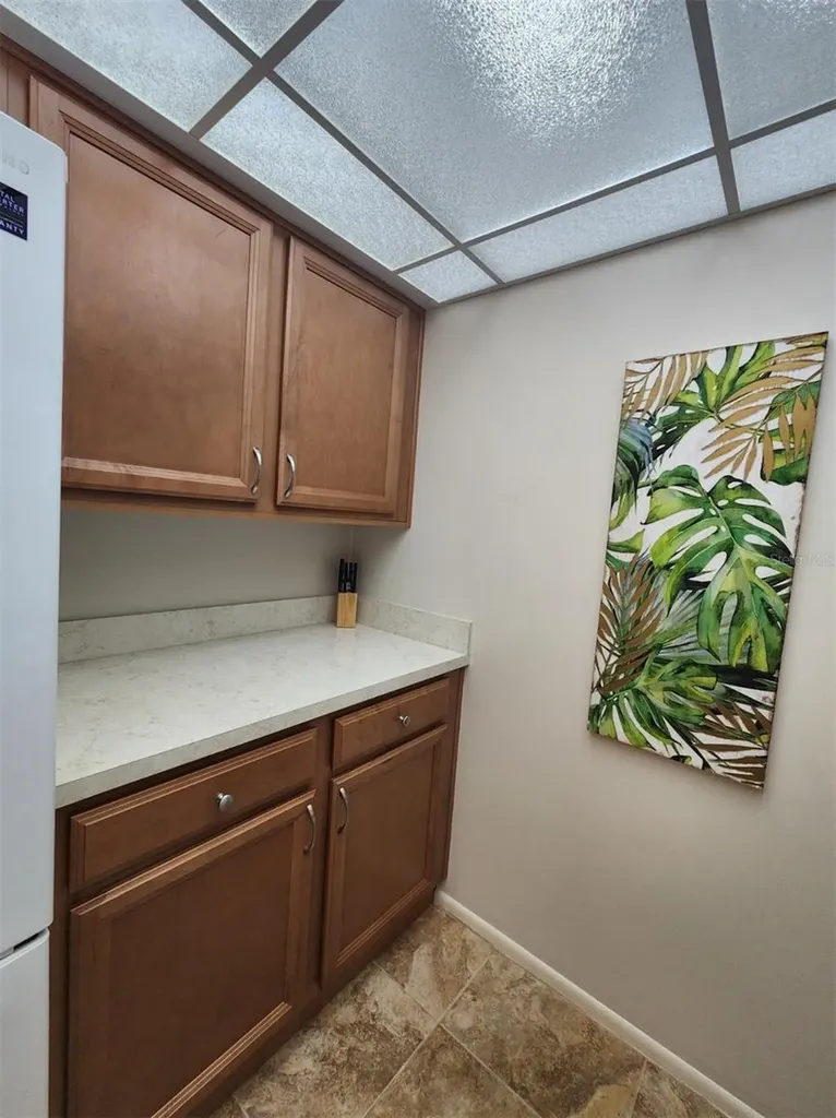 2132 Lakewood Club Drive S St Petersburg FL 33712