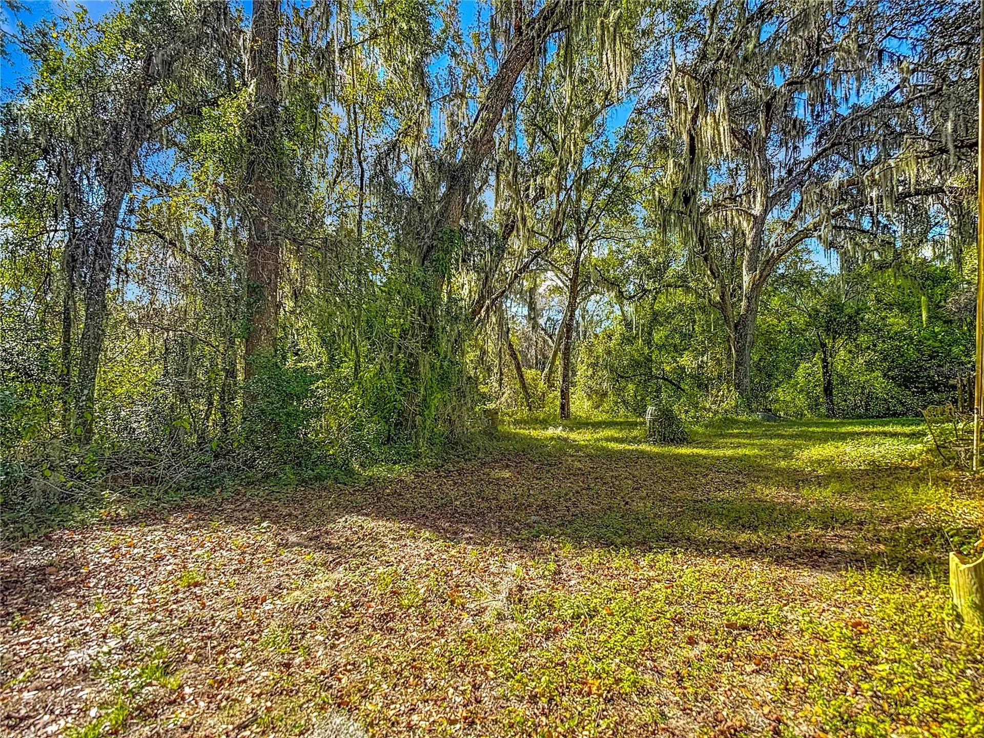 22380 Powell Road Brooksville FL 34602