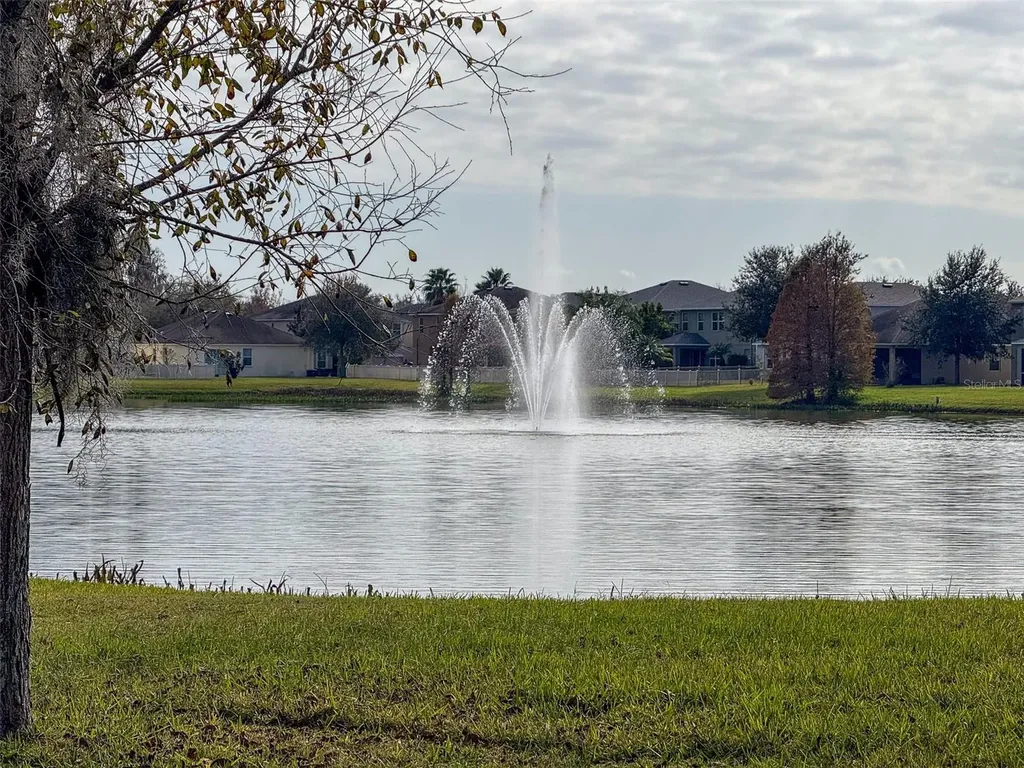 10663 Pictorial Park Drive Tampa FL 33647