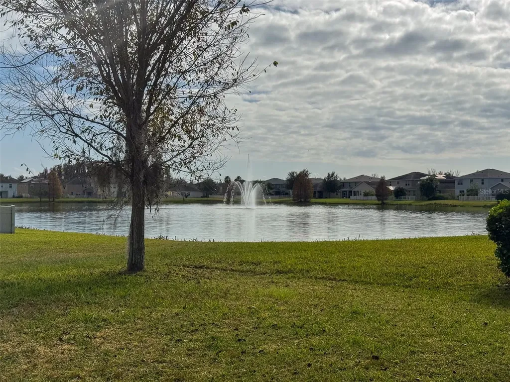 10663 Pictorial Park Drive Tampa FL 33647