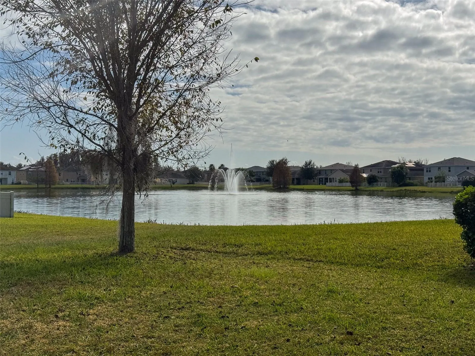 10663 Pictorial Park Drive Tampa FL 33647
