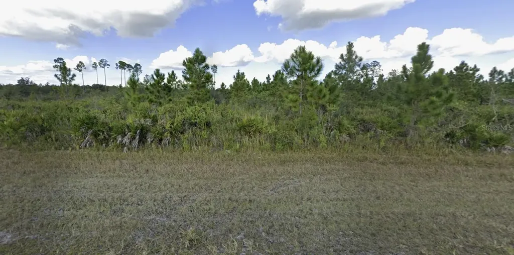 1024 Calliandra Drive Indian Lake Estates FL 33855