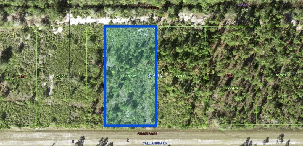 1024 Calliandra Drive Indian Lake Estates FL 33855