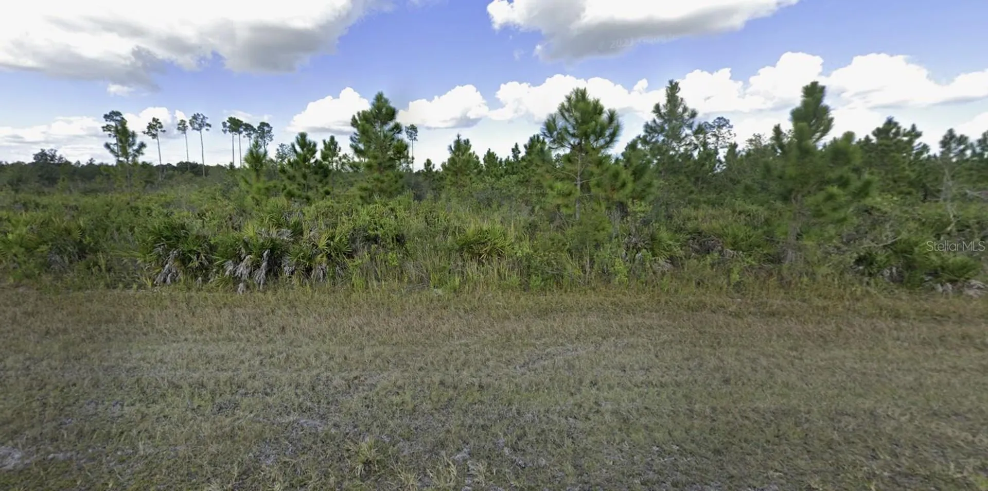 1024 Calliandra Drive Indian Lake Estates FL 33855