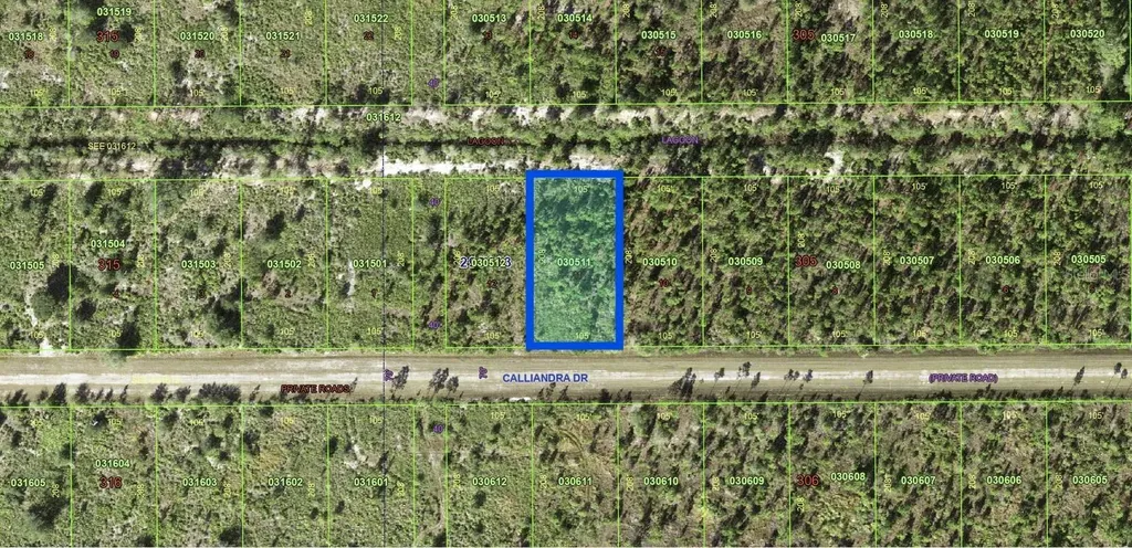 1022 Calliandra Drive Indian Lake Estates FL 33855