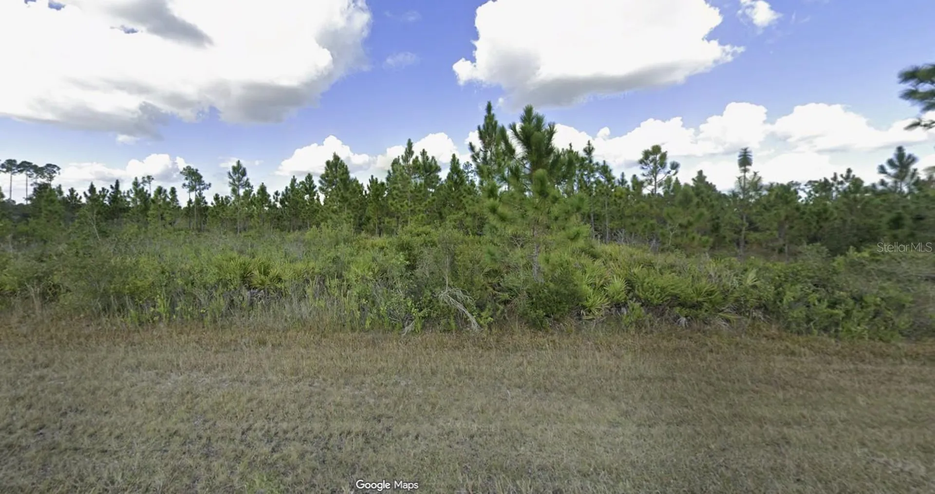 1022 Calliandra Drive Indian Lake Estates FL 33855