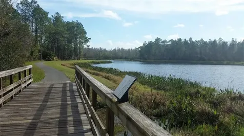 9071 Pleasant Woods Drive Land O Lakes FL 34637