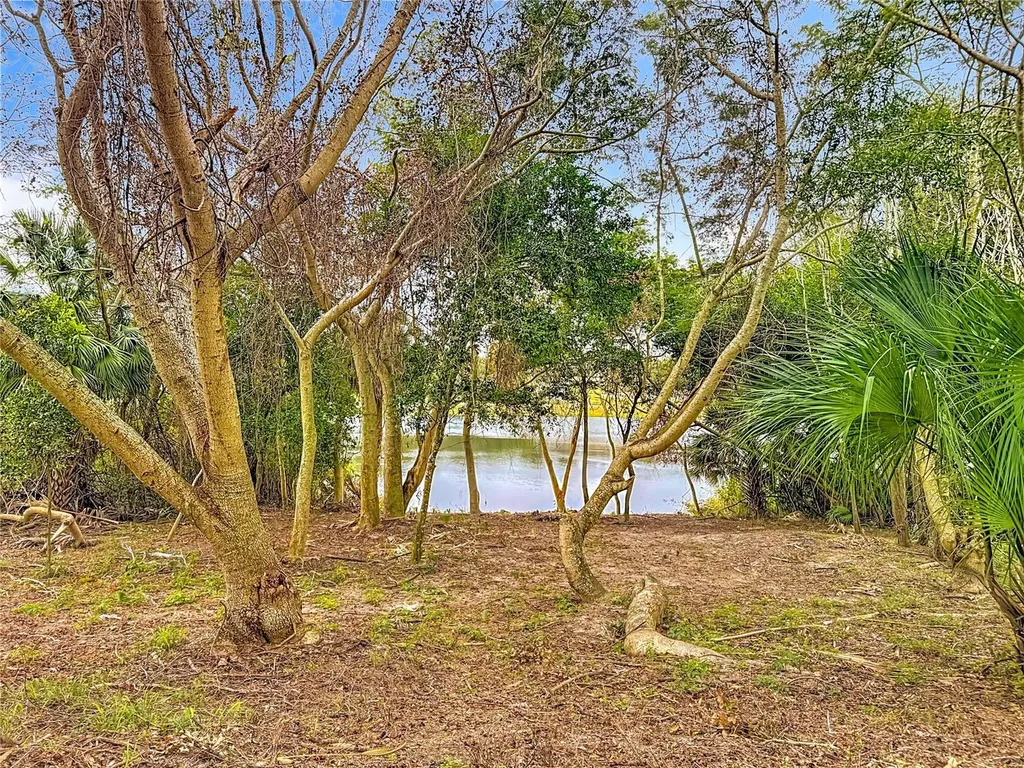 697 Winding Lake Drive Clermont FL 34711
