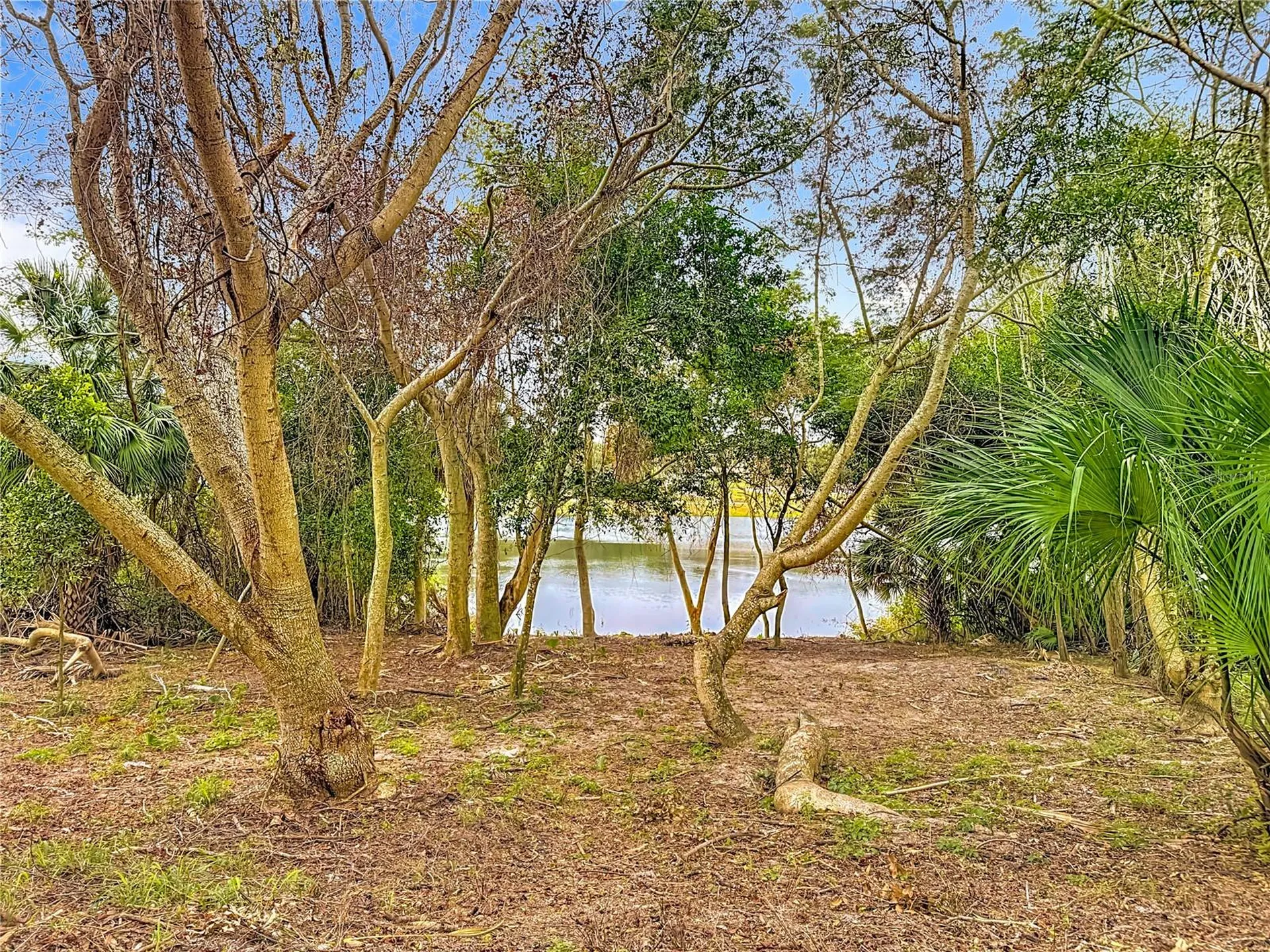 697 Winding Lake Drive Clermont FL 34711