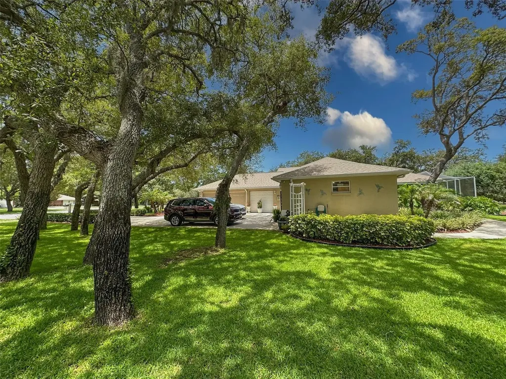 13807 Eagles Rock Court Hudson FL 34667
