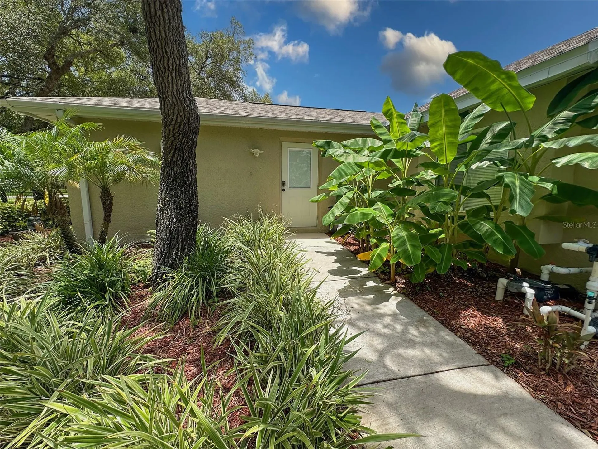 13807 Eagles Rock Court Hudson FL 34667