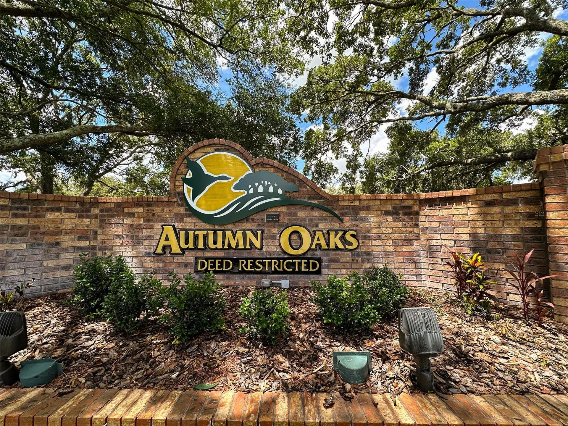 13807 Eagles Rock Court Hudson FL 34667