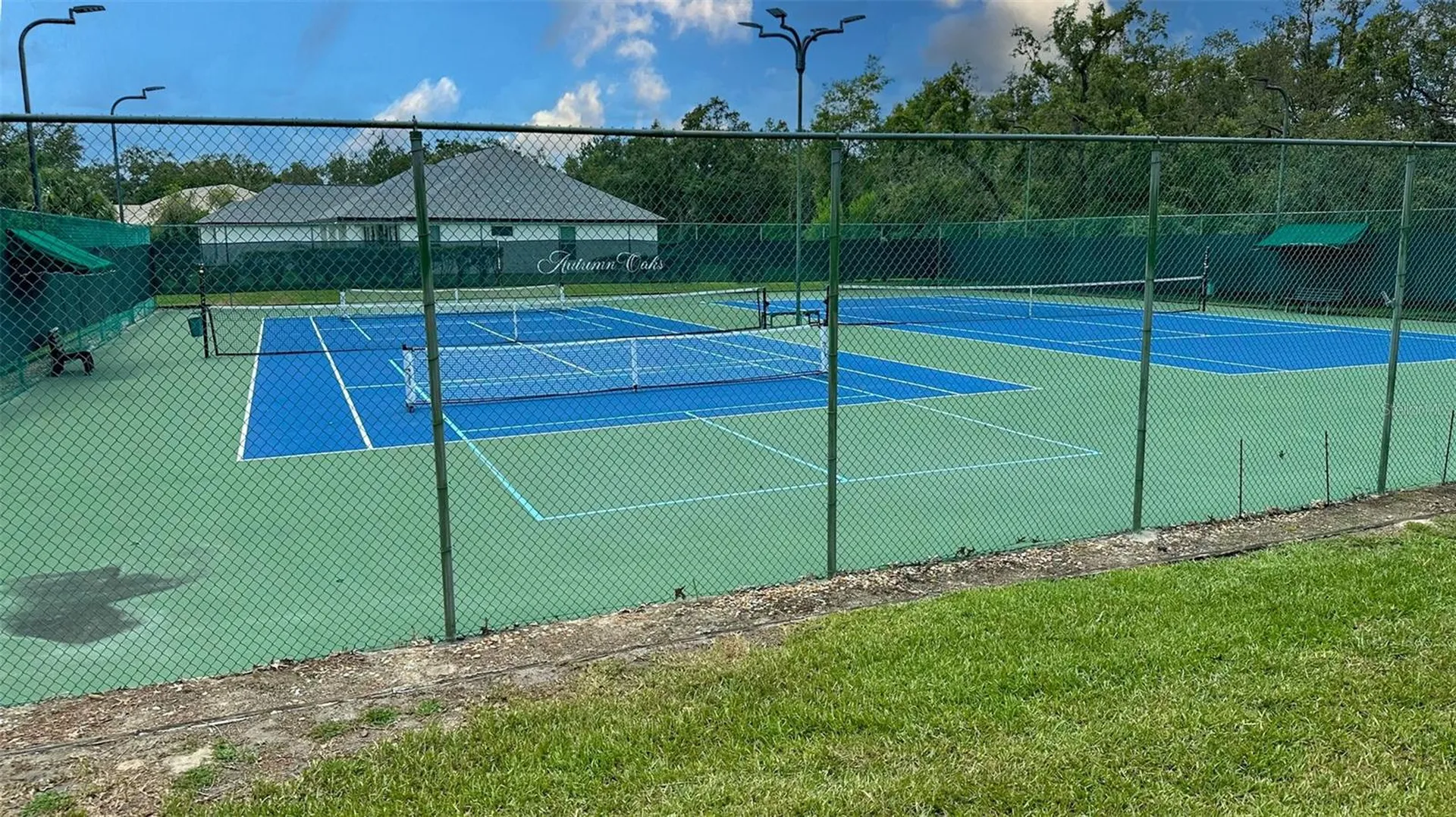 13807 Eagles Rock Court Hudson FL 34667