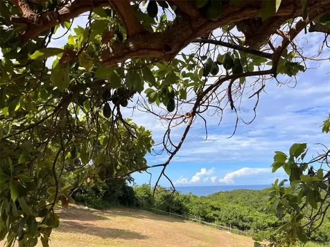 B Pilon Vieques PR 00765