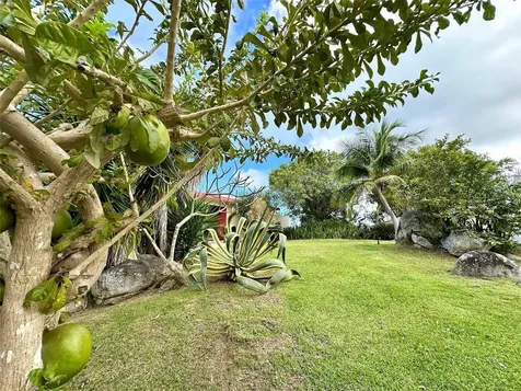 B Pilon Vieques PR 00765
