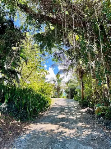 B Pilon Vieques PR 00765