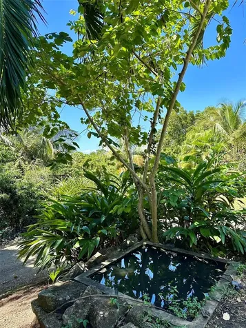 B Pilon Vieques PR 00765