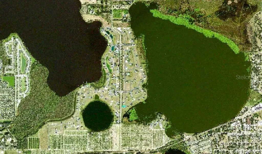 103 Blazing Star Avenue Lake Alfred FL 33850