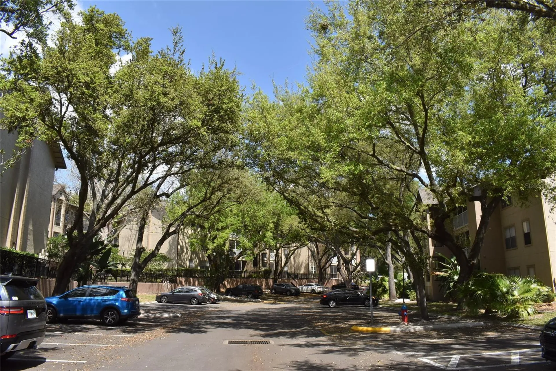 951 Salt Pond Place Altamonte Springs FL 32714