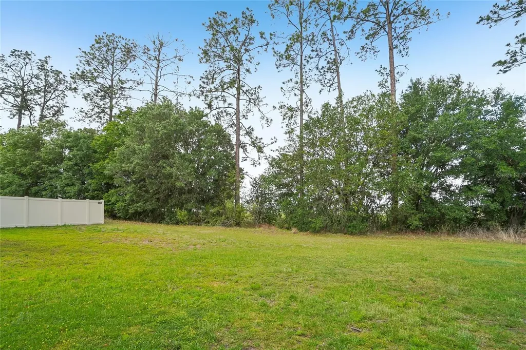 11467 Cay Spruce Way San Antonio FL 33576