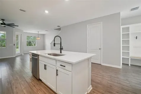 11467 Cay Spruce Way San Antonio FL 33576