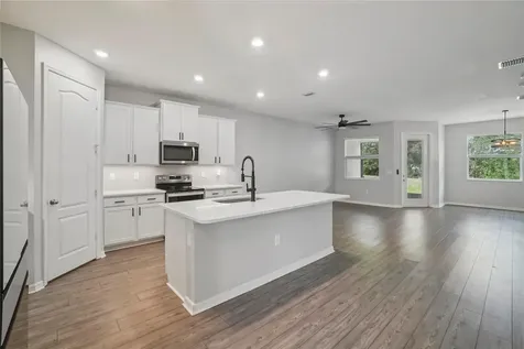 11467 Cay Spruce Way San Antonio FL 33576