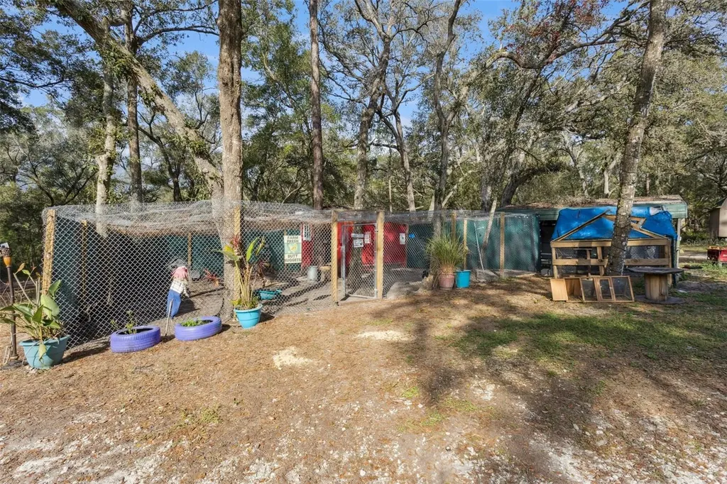 1208 Darcy Road Lady Lake FL 32159