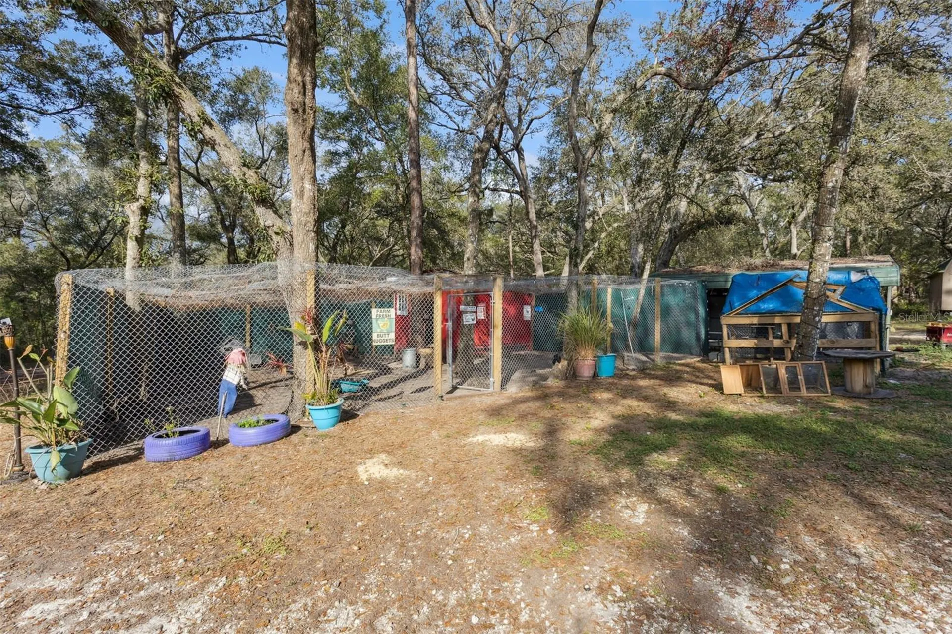 1208 Darcy Road Lady Lake FL 32159