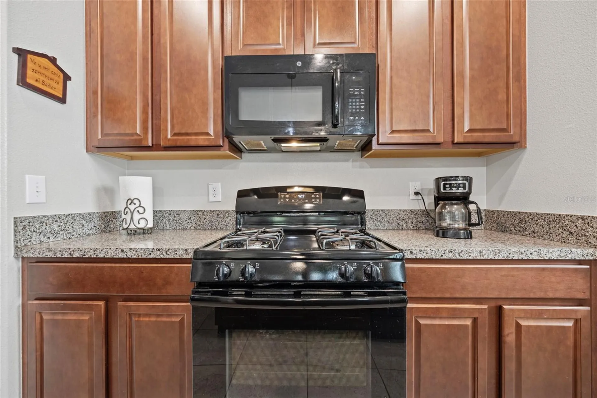 21362 Wistful Yearn Drive Land O Lakes FL 34637