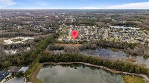 21362 Wistful Yearn Drive Land O Lakes FL 34637