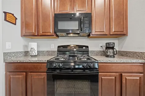 21362 Wistful Yearn Drive Land O Lakes FL 34637