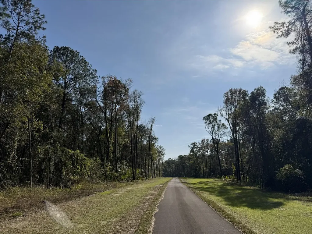 Irvine Acres #3 (10ac) W Highway 318 Reddick FL 32686
