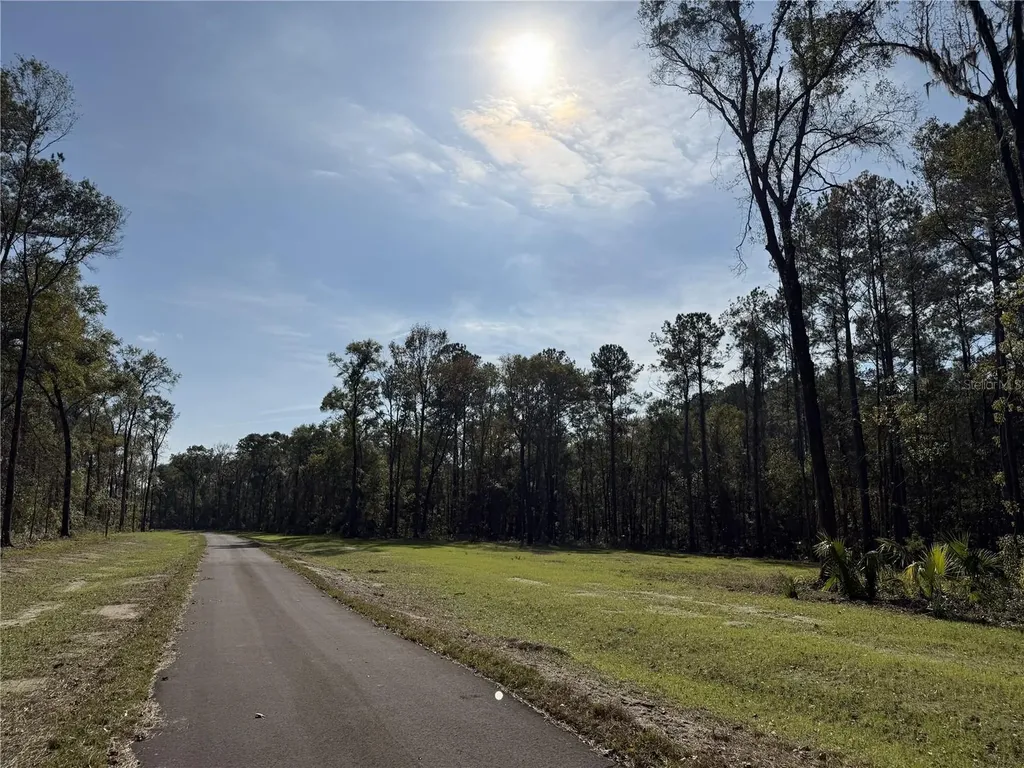 Irvine Acres #3 (10ac) W Highway 318 Reddick FL 32686