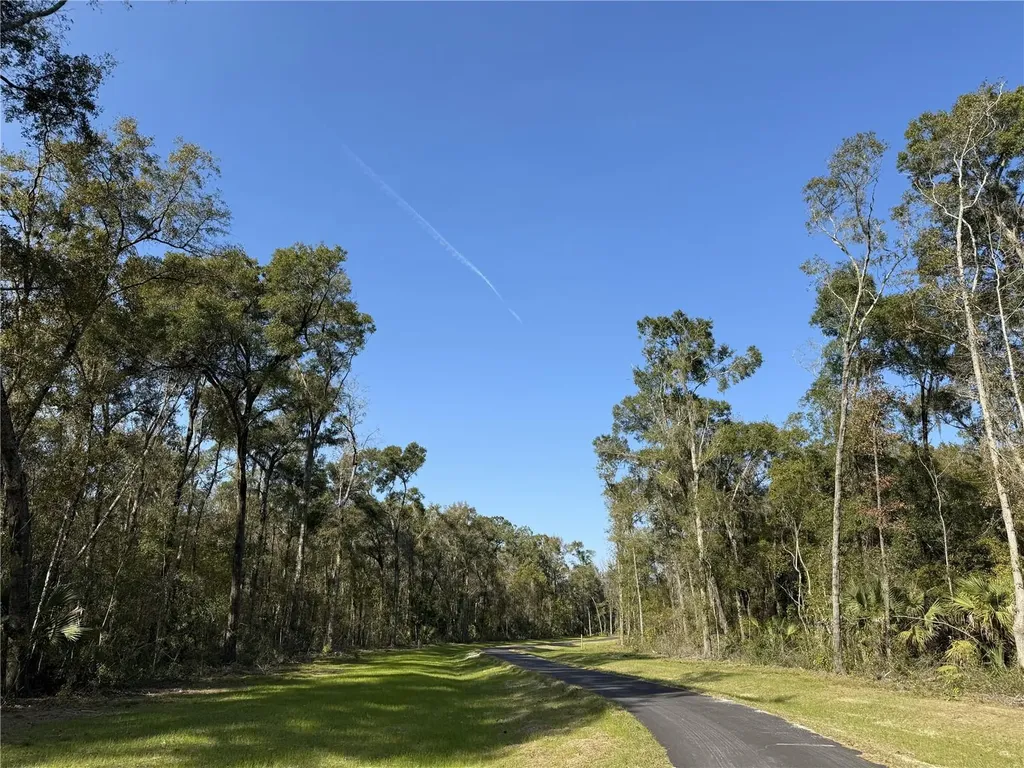 Irvine Acres #3 (10ac) W Highway 318 Reddick FL 32686