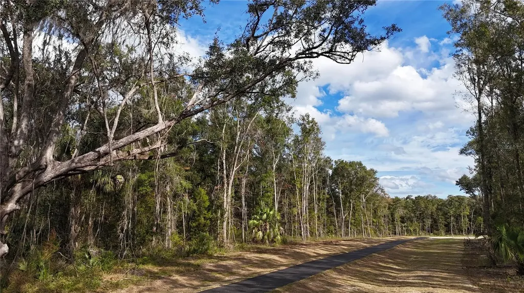 Irvine Acres #3 (10ac) W Highway 318 Reddick FL 32686