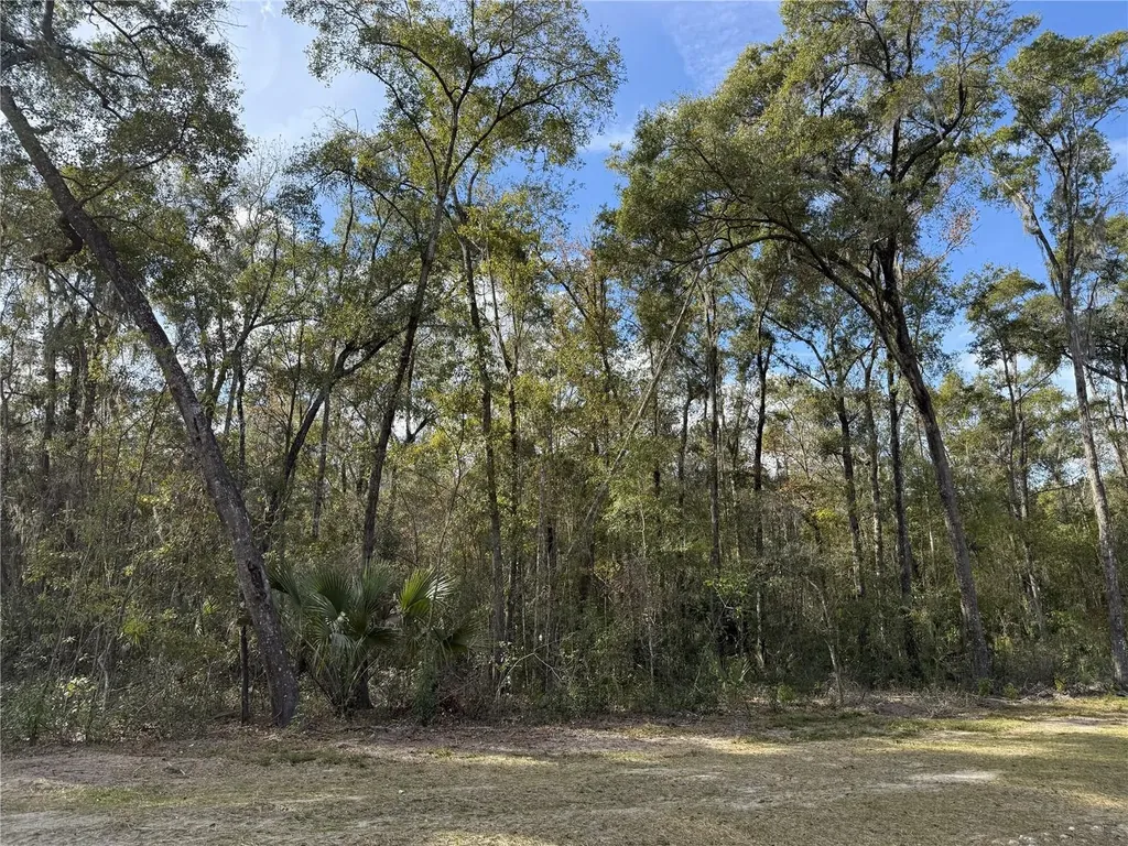 Irvine Acres #3 (10ac) W Highway 318 Reddick FL 32686