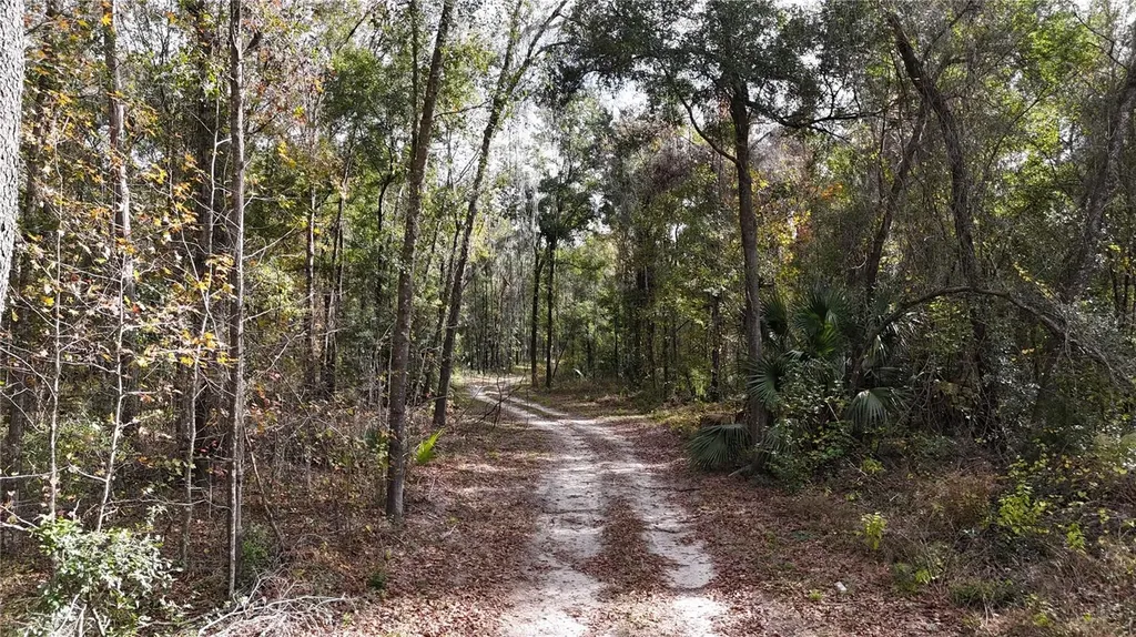 Irvine Acres #3 (10ac) W Highway 318 Reddick FL 32686