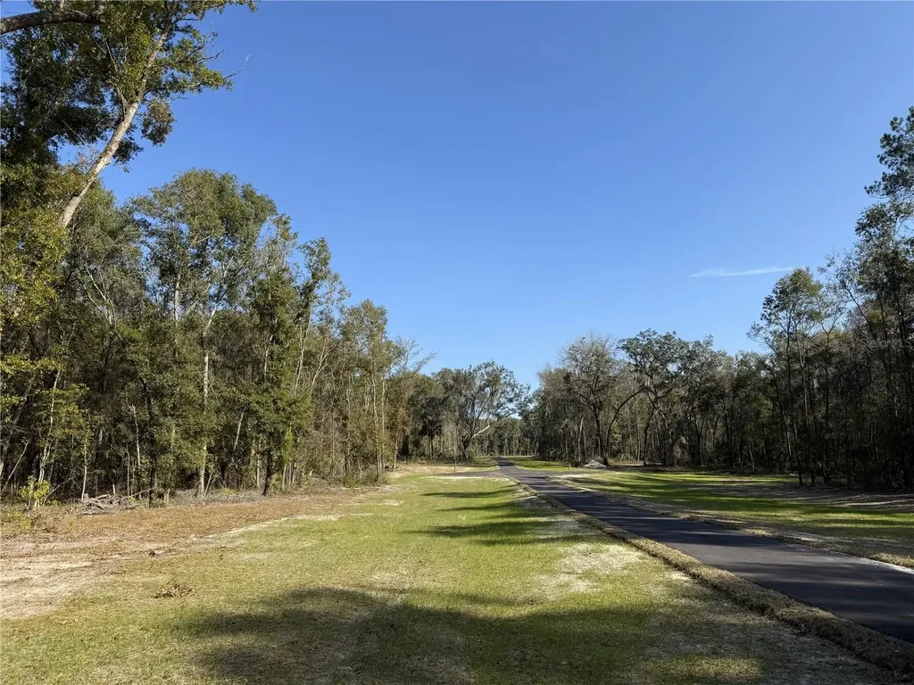Irvine Acres #3 (10ac) W Highway 318 Reddick FL 32686